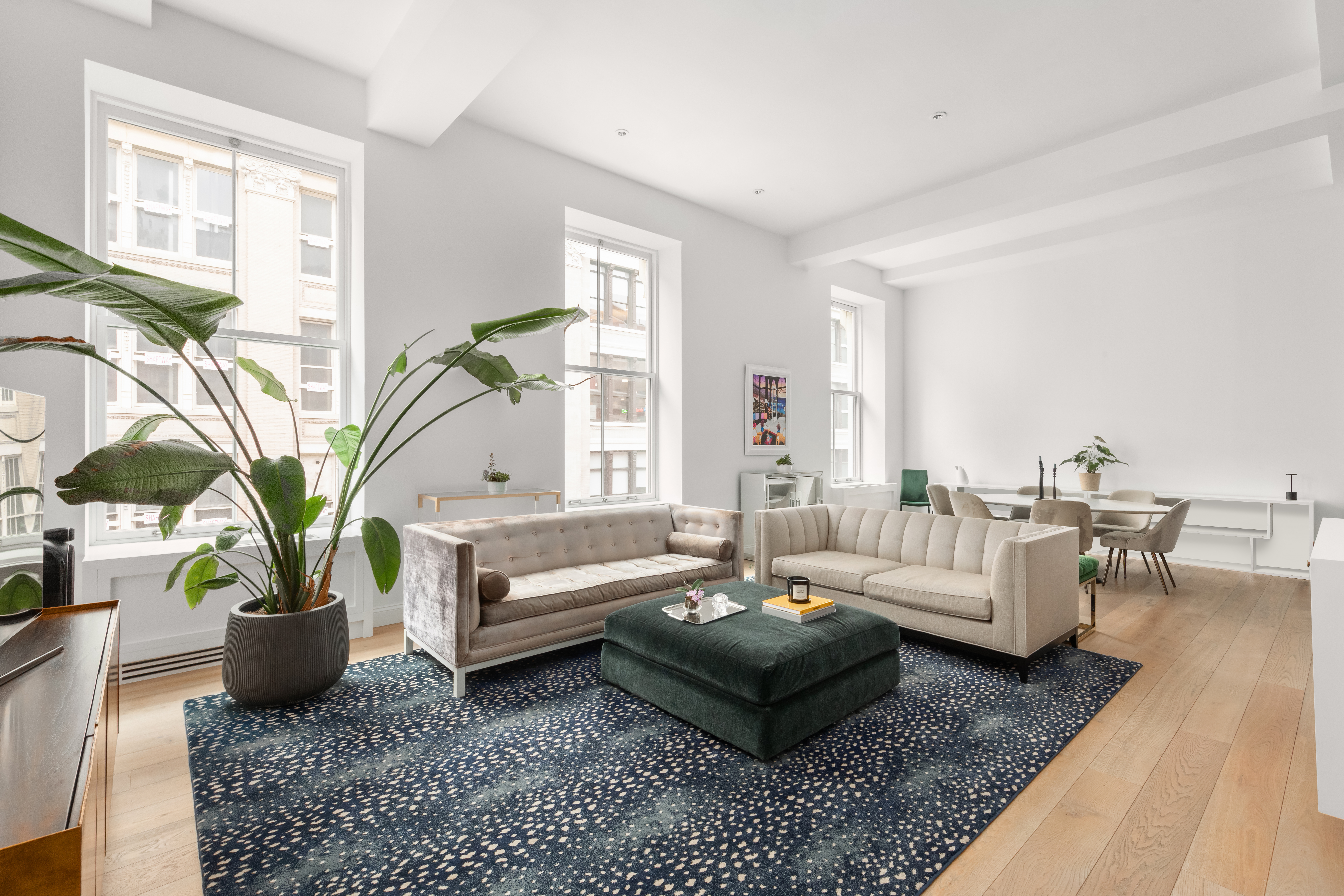 a living room with furniture and a potted plant
