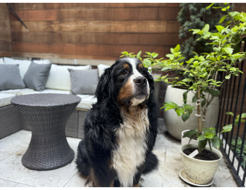 267 West 71st Street, Unit 1R Manhattan, NY 10023 - Photo 14 of 16