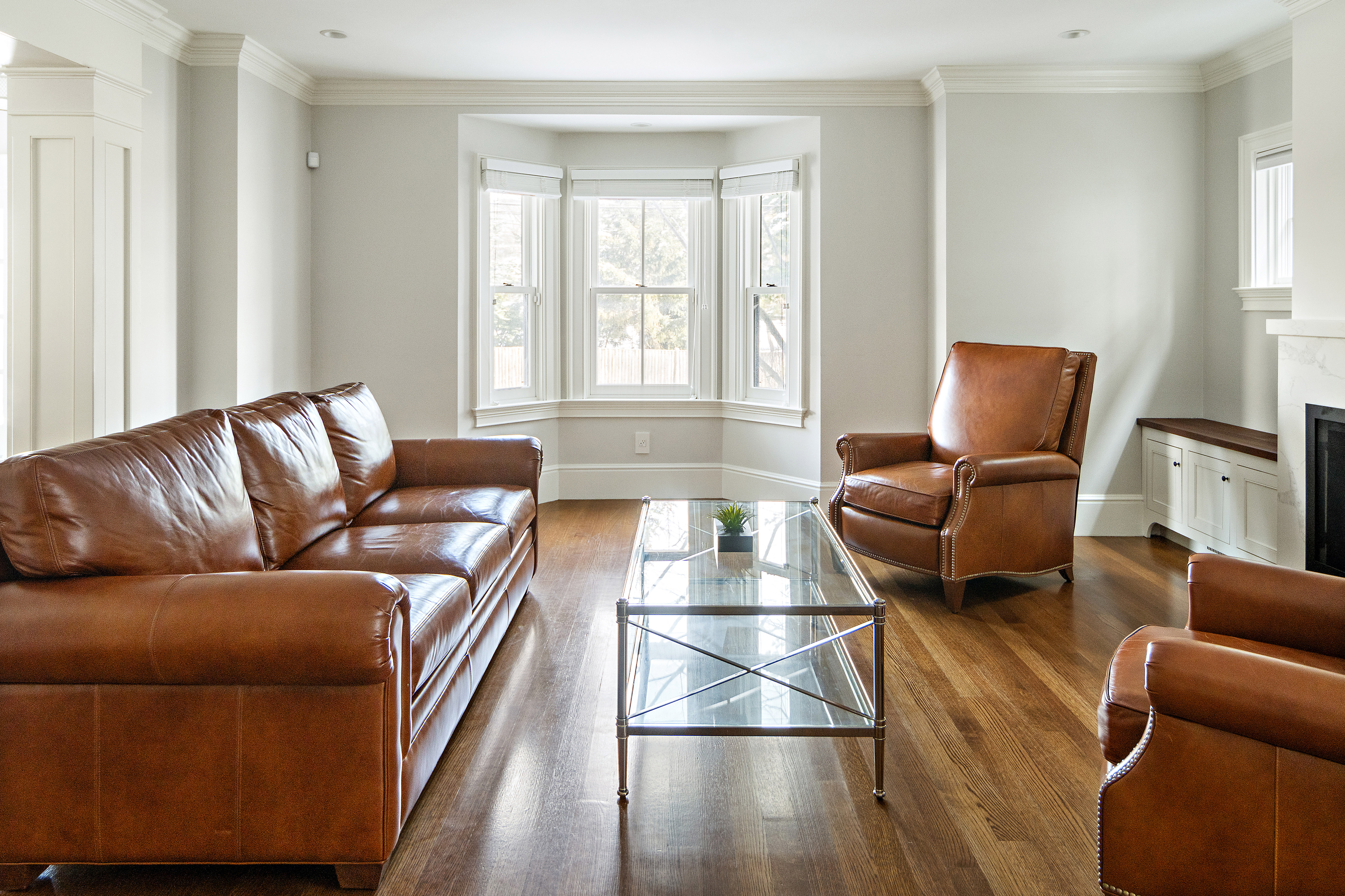 35 Willard Street Cambridge, MA 02138 - Photo 23 of 36 a living room with furniture and a potted plant