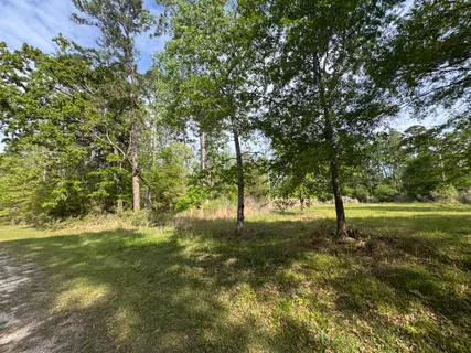 $15,000 | 22 Lake Forest Drive, Livingston, TX 77351
