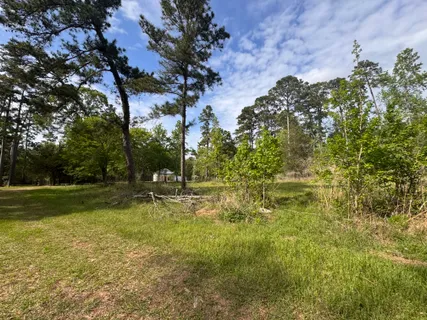 $15,000 | 22 Lake Forest Drive, Livingston, TX 77351
