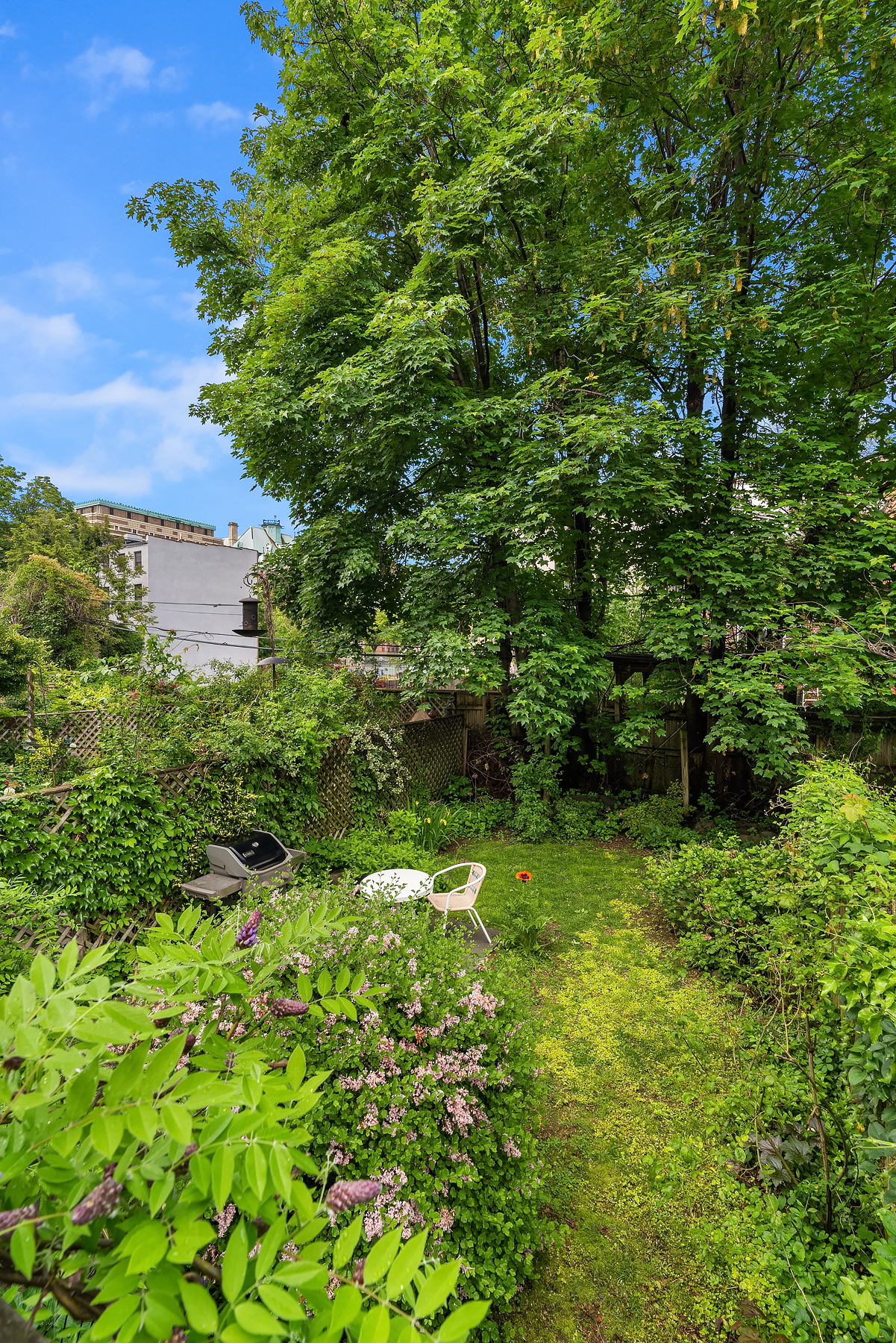 351 Adelphi Street Brooklyn, NY 11238 - Photo 17 of 25