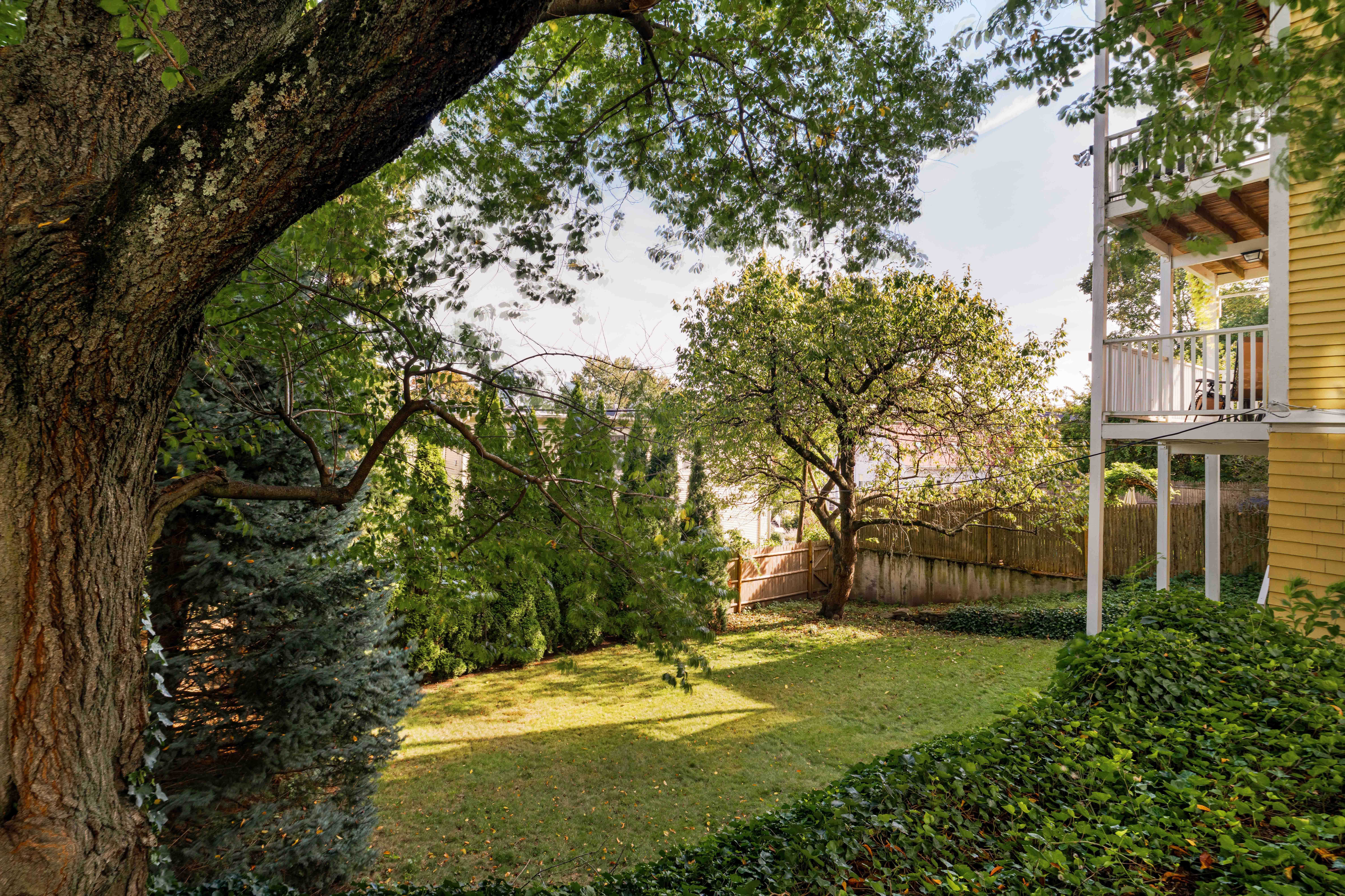 164 Calumet Street Roxbury Crossing, MA 02120 - Photo 26 of 29