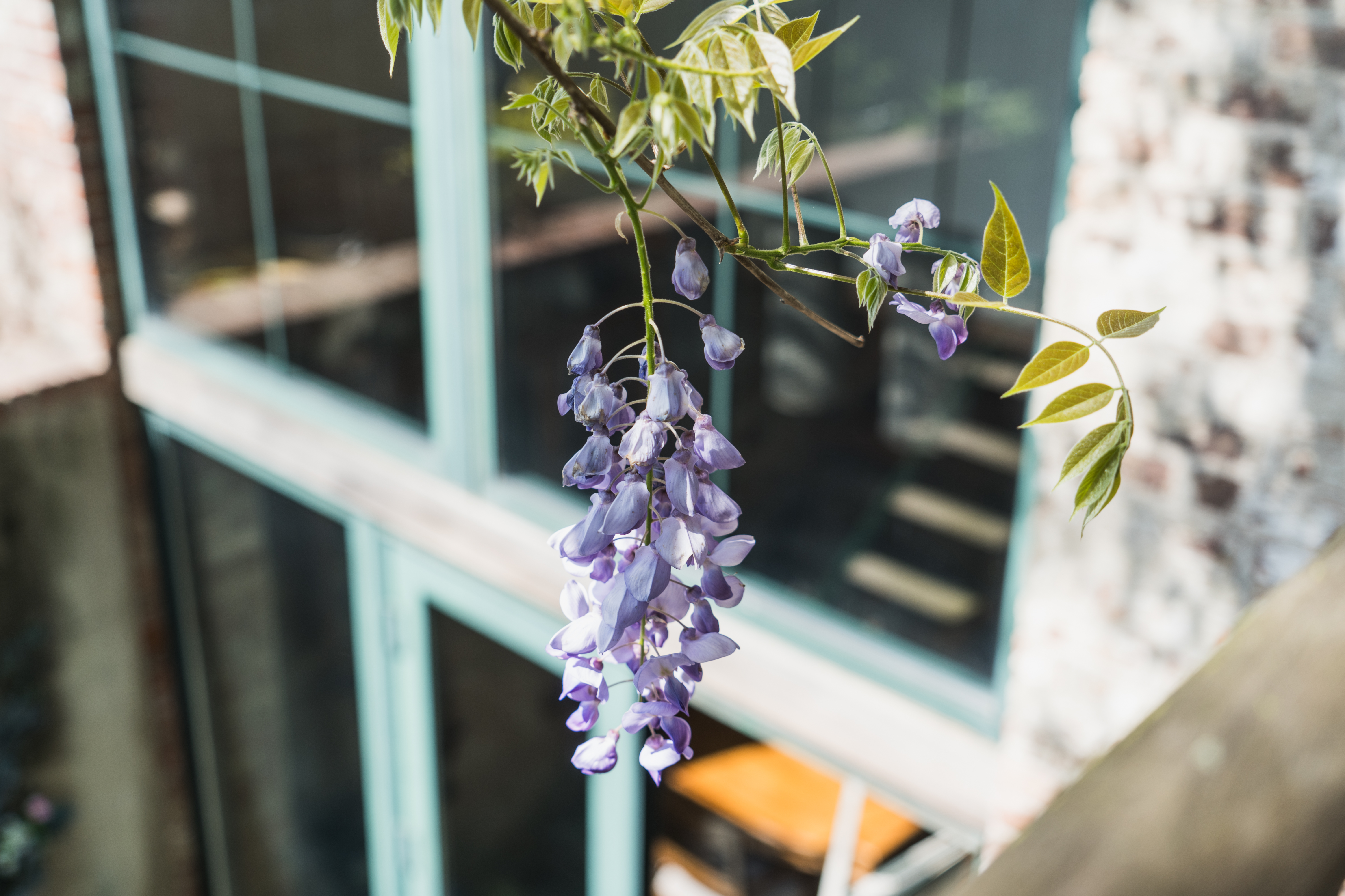 248 17th Street, Unit 6 Brooklyn, NY 11215 - Photo 20 of 21