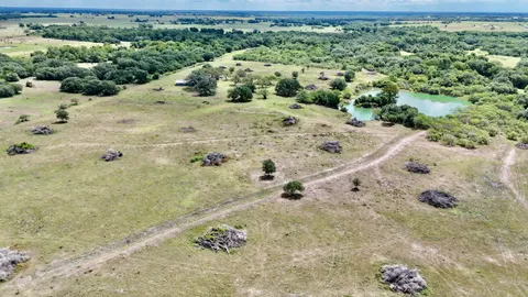 a view of a dry yard with lots of trees