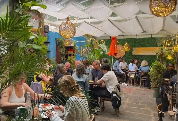 a room filled with lots of potted plants