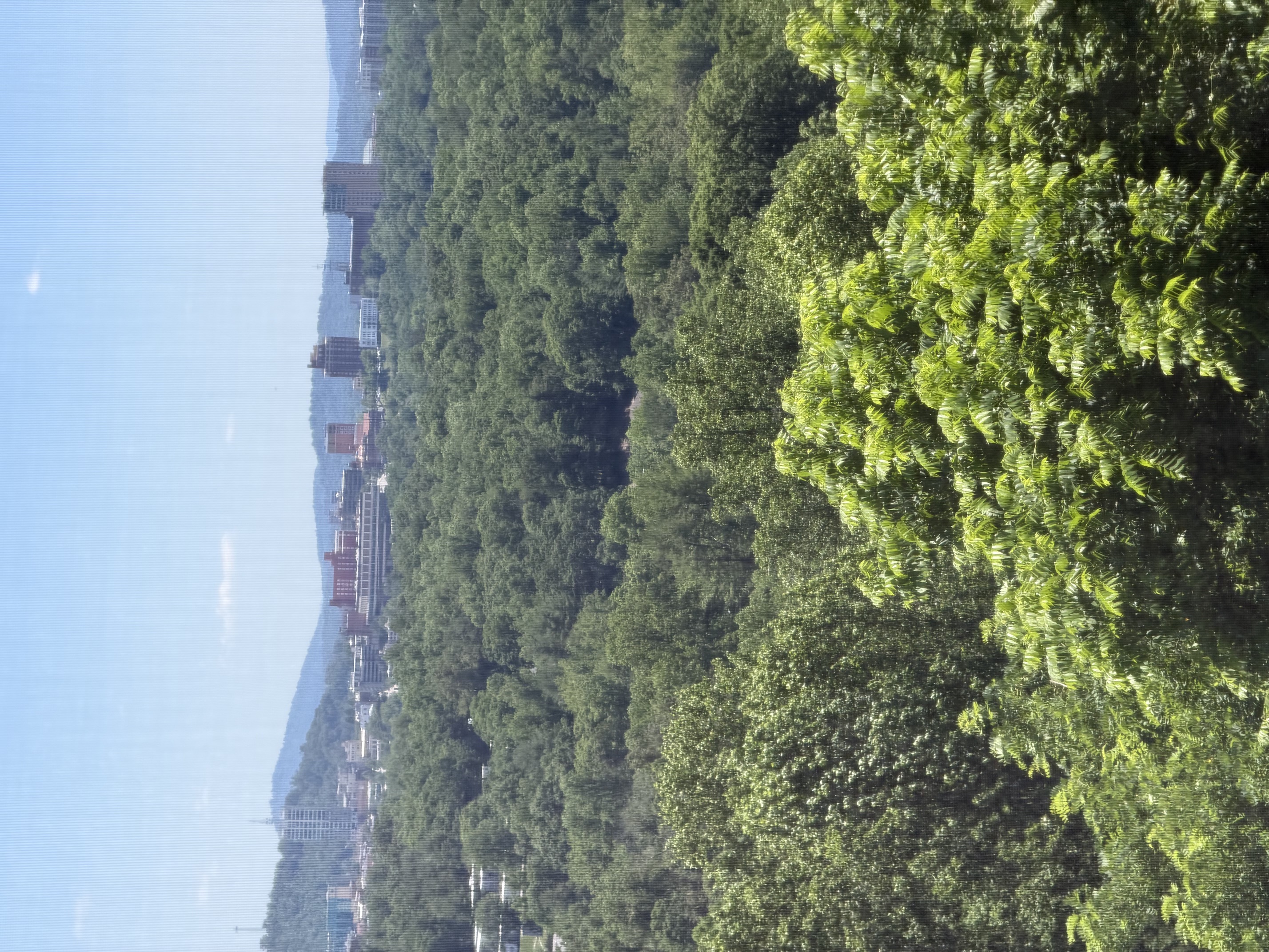 38 Lookout Road Asheville, NC 28804 - Photo 6 of 6