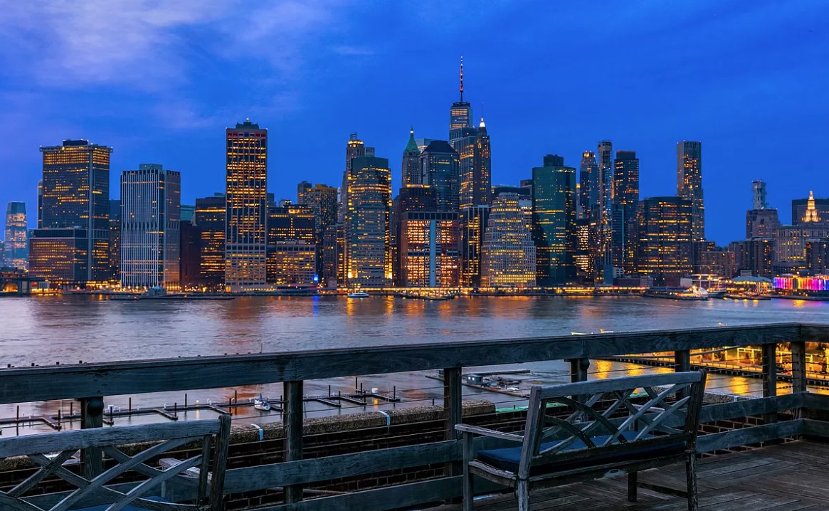 2 Grace Court, Unit 1X Brooklyn, NY 11201 - Photo 10 of 12 a view of a city with tall buildings