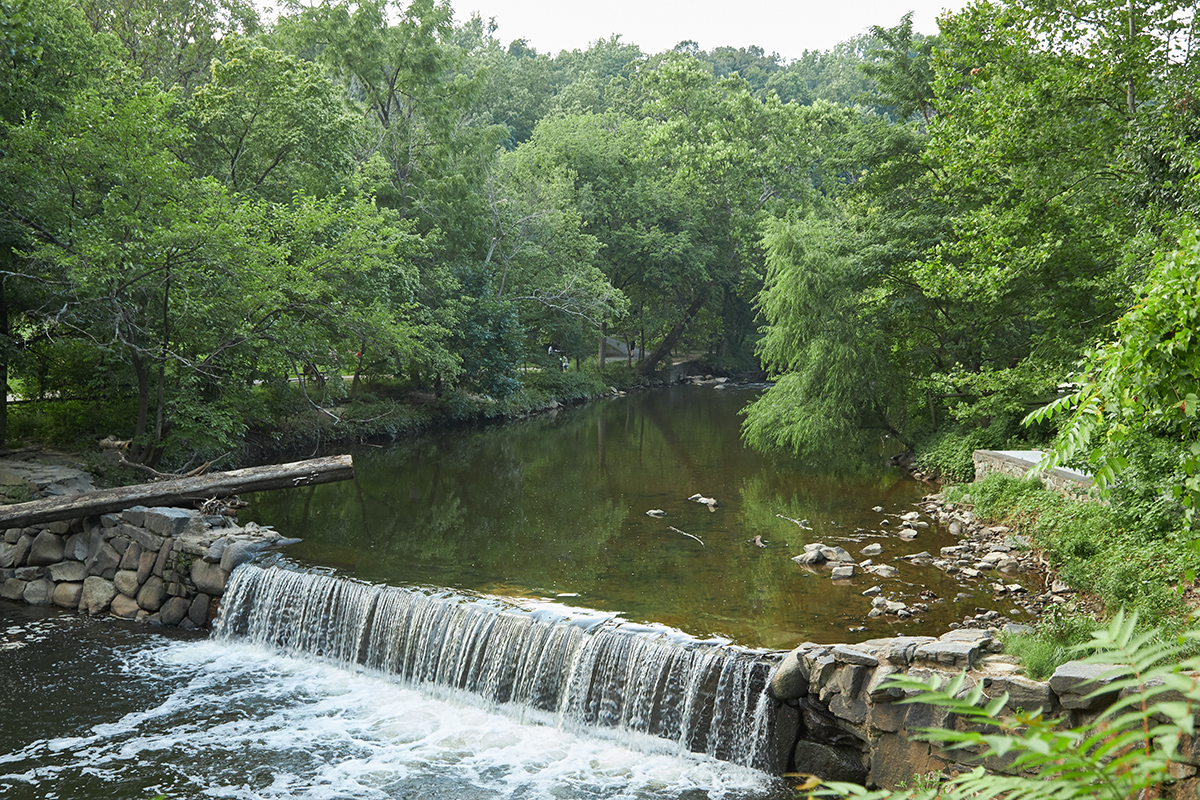 2853 Ontario Road Northwest, Unit 418 Washington, DC 20009 - Photo 51 of 52