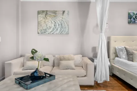 a living room with furniture a couch and a potted plant