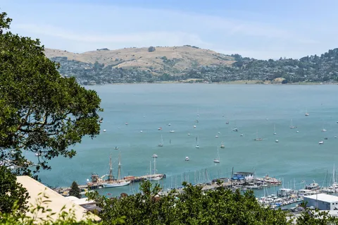 Contact Agent | 19 Toyon Lane, Sausalito, CA 94965