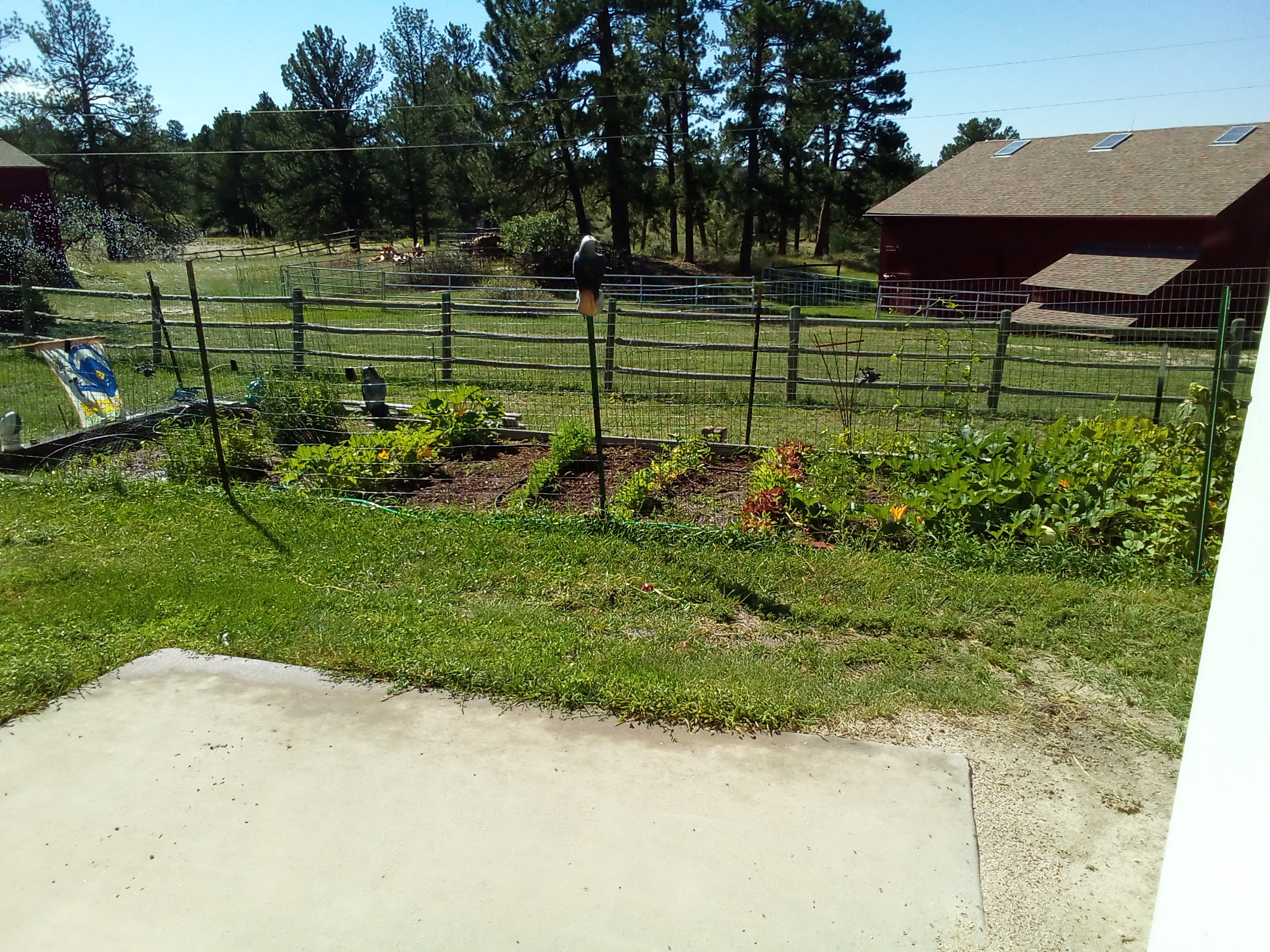 7550 North Village Road Parker, CO 80134 - Photo 12 of 13 a view of a park with large trees