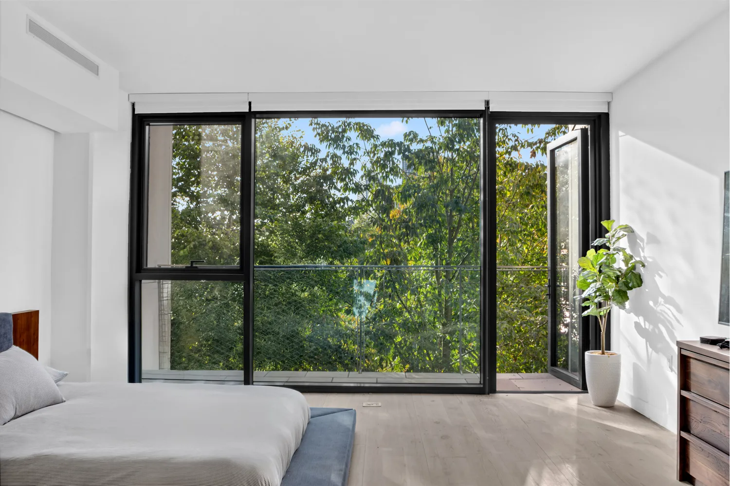 a view of a garden from a window