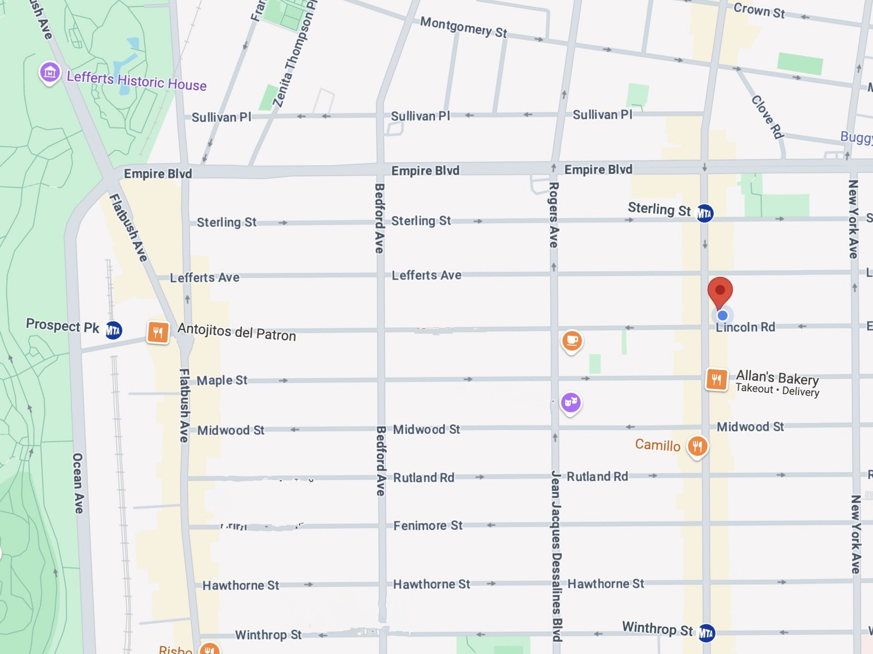 371 Lincoln Road, Unit 2 Brooklyn, NY 11225 - Photo 18 of 19 a bathroom with a window