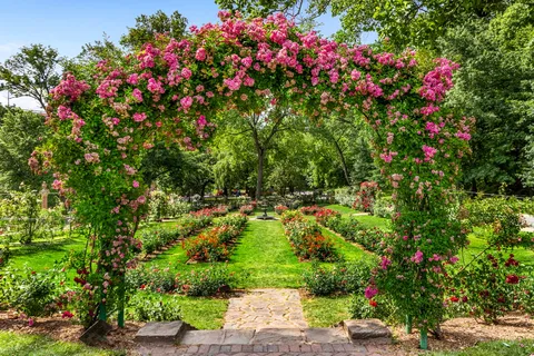 a living room with furniture and potted plants