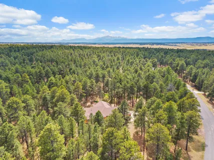 $1,200,000 | 4235 Slash Pine Drive, Colorado Springs, CO 80908