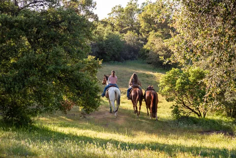 $2,825,000 | Viejas Grade Road, Descanso, CA 91916