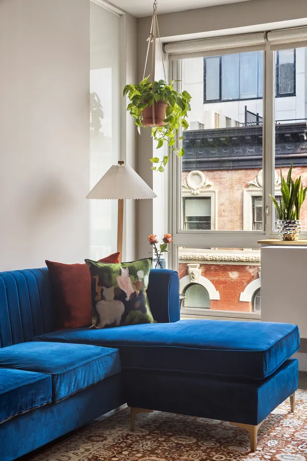 a living room with furniture and a potted plant