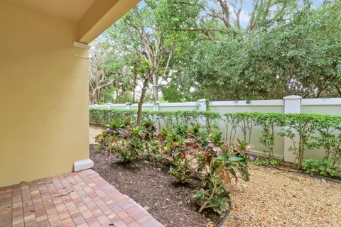 a view of a backyard with plants and a garden
