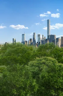 a view of a city with tall buildings and a yard