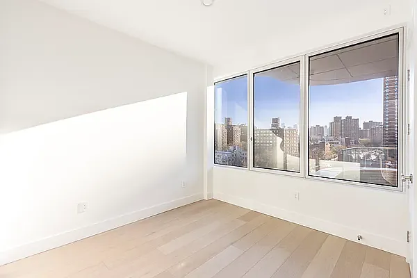 208 Delancey Street, Unit 10C Manhattan, NY 10002 - Photo 3 of 10