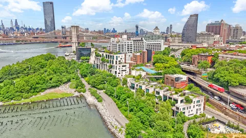 a view of a yard with plants