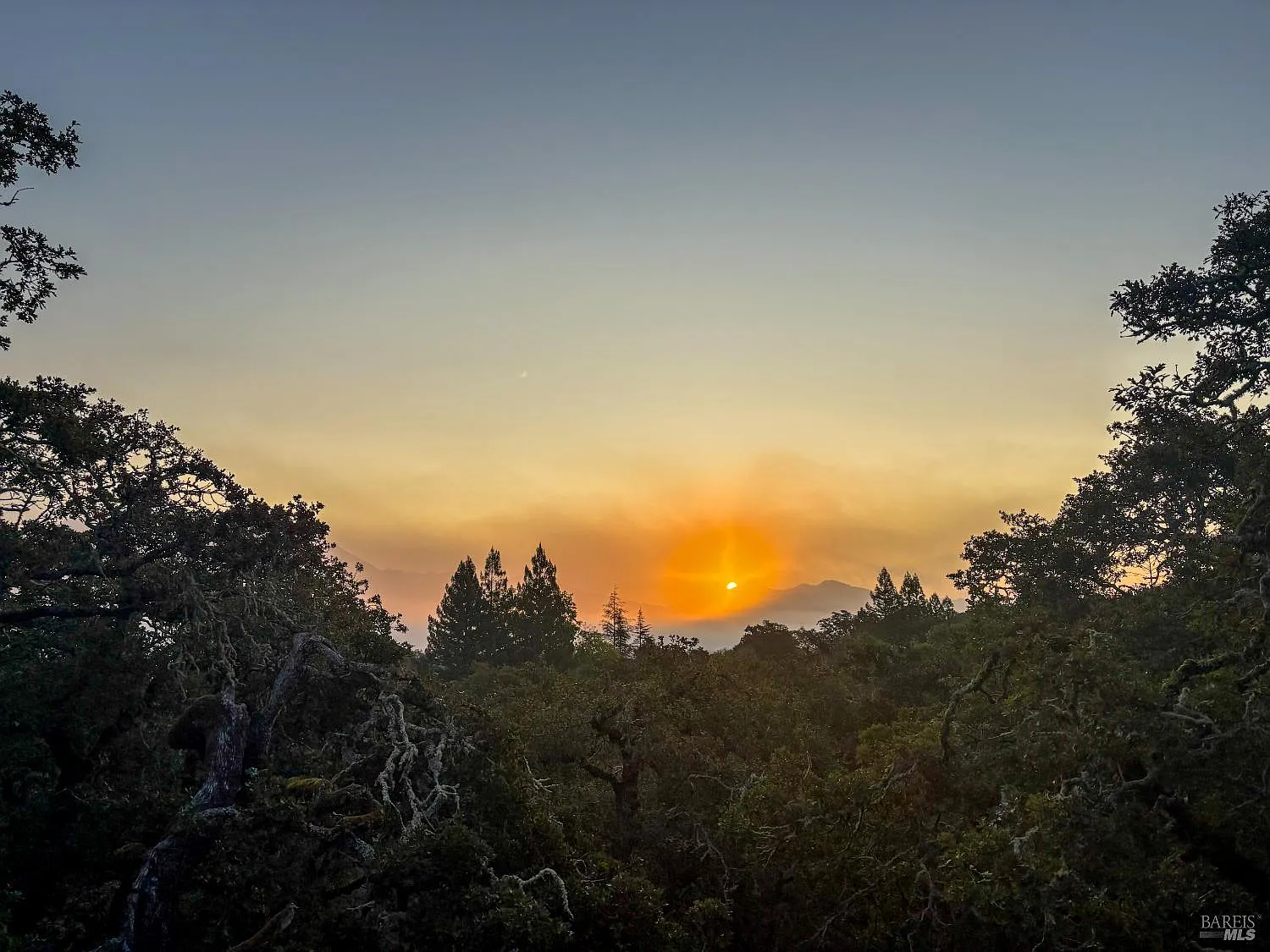 807 Wild Oak Drive Santa Rosa, CA 95409 - Photo 52 of 53