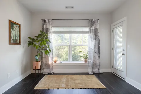 a room with window and a potted plant