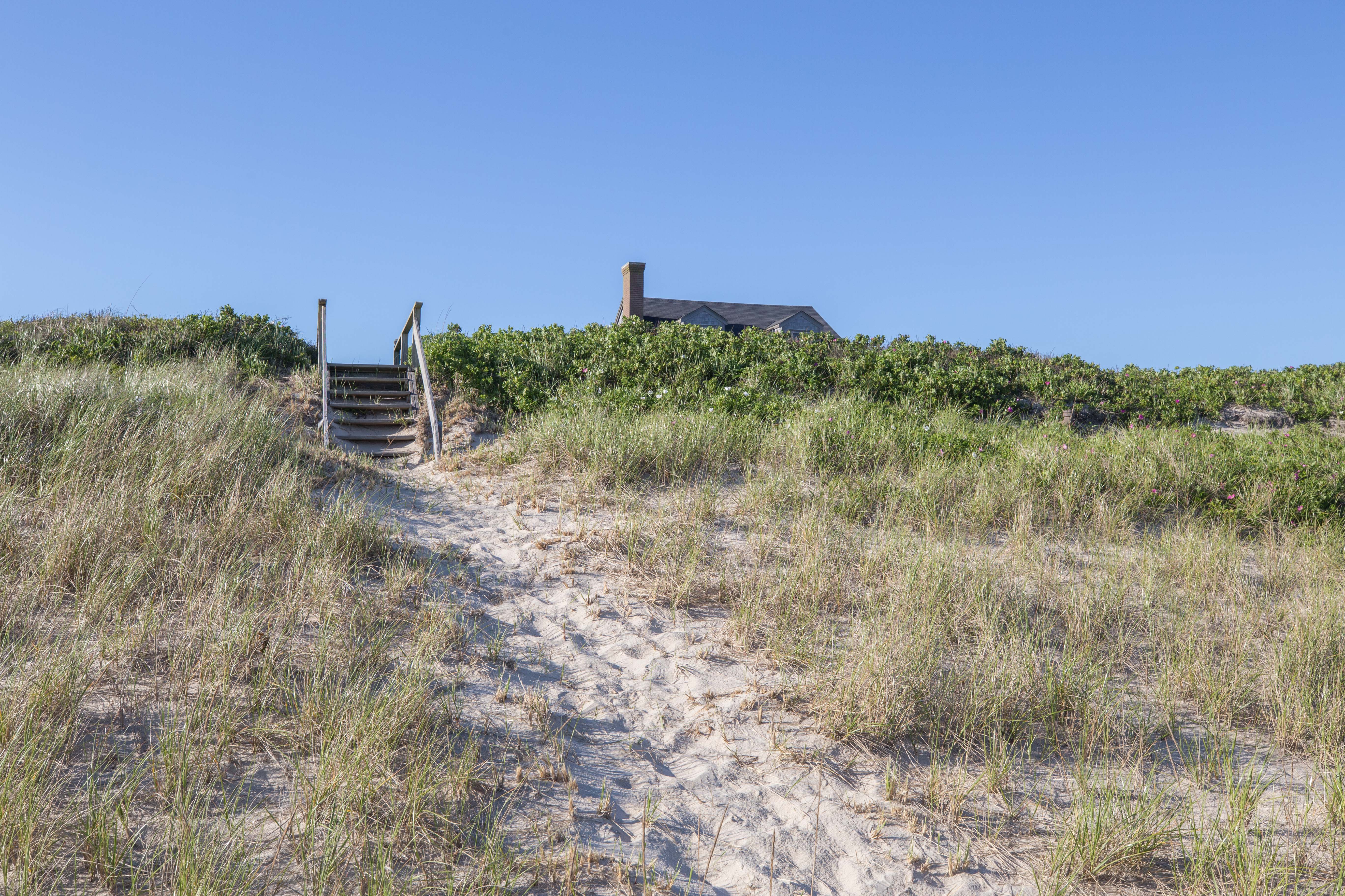 65 Nobadeer Avenue Nantucket, MA 02554 - Photo 18 of 20 a view of a dry yard with trees