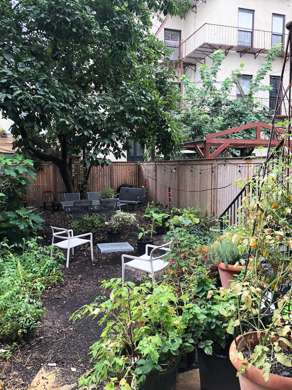 382 MacDonough Street Brooklyn, NY 11233 - Photo 20 of 22