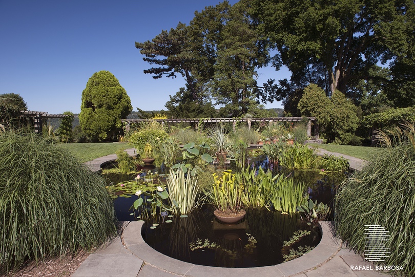 3215 Netherland Avenue, Unit 2H Bronx, NY 10463 - Photo 15 of 19