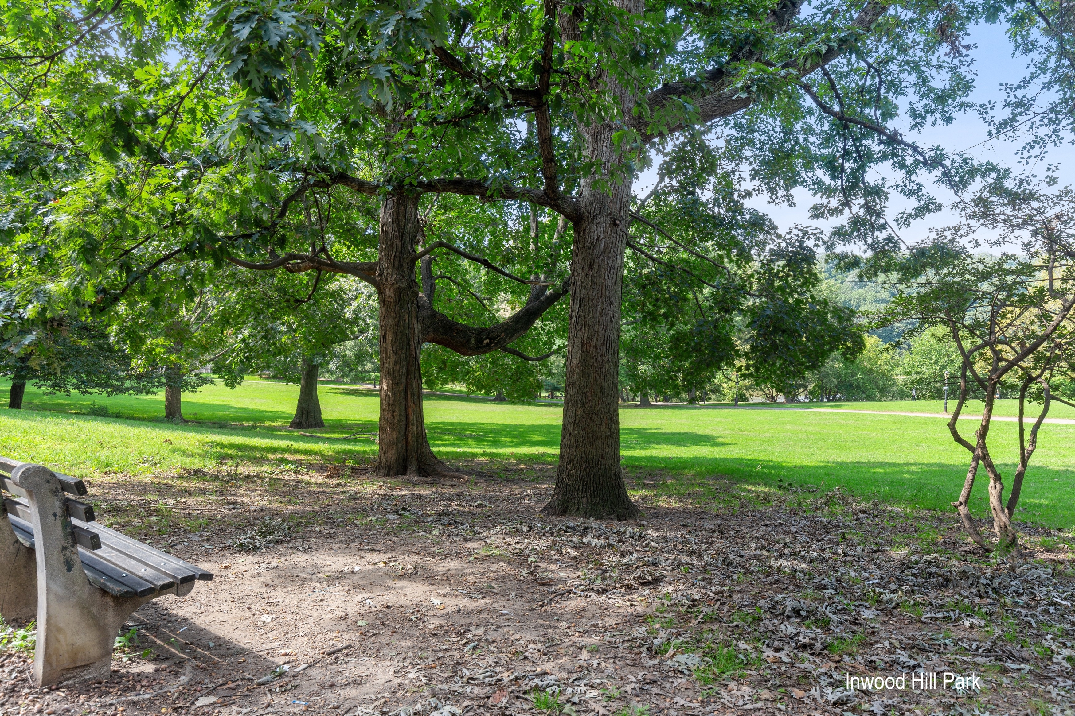 45 Park Terrace West, Unit 5A Manhattan, NY 10034 - Photo 15 of 22 a view of a park with large trees