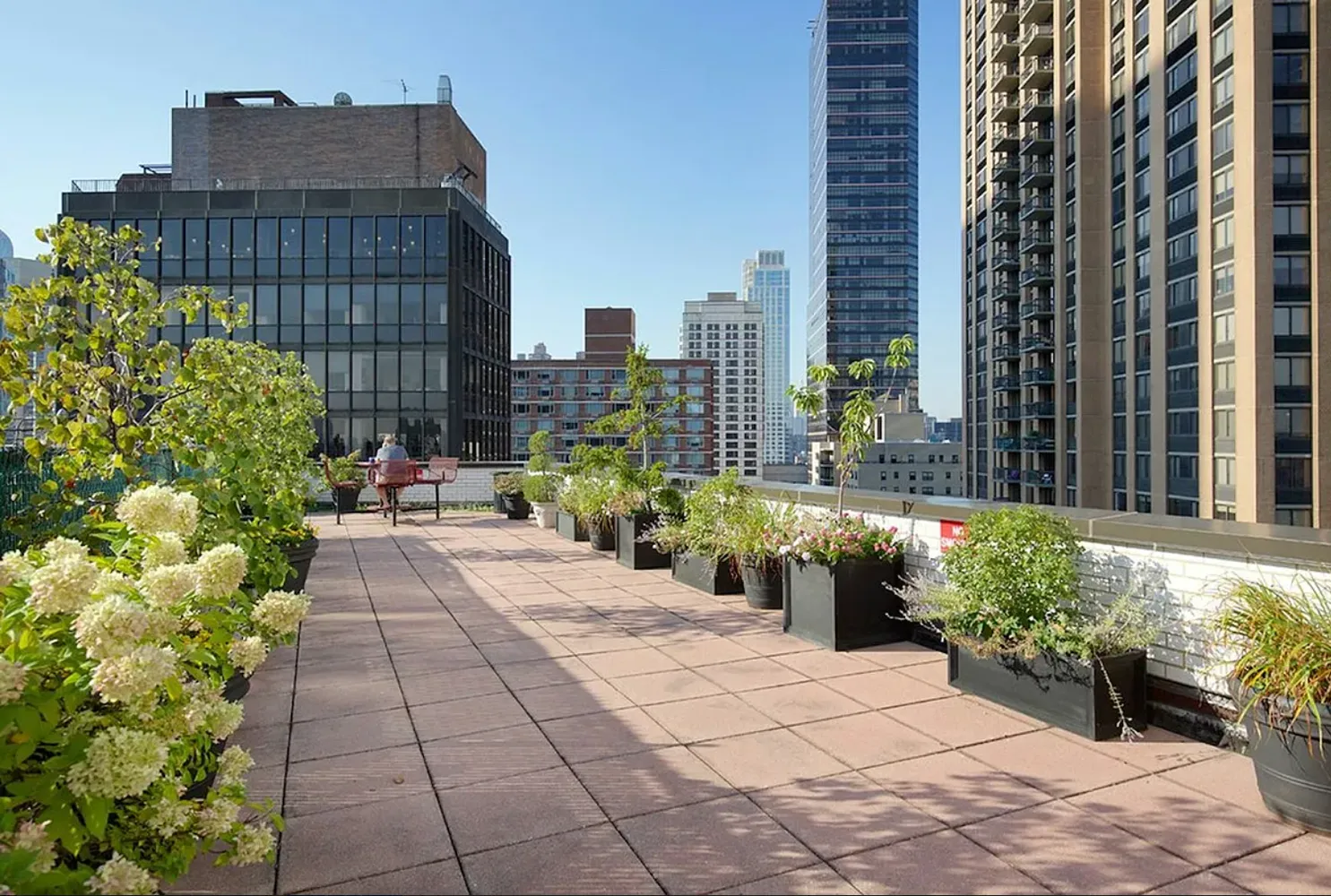 a view of a building with potted plants