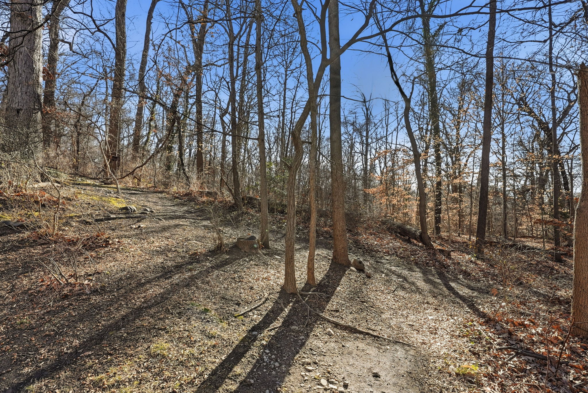 4100 W Street Northwest, Unit 203 Washington, DC 20007 - Photo 18 of 18