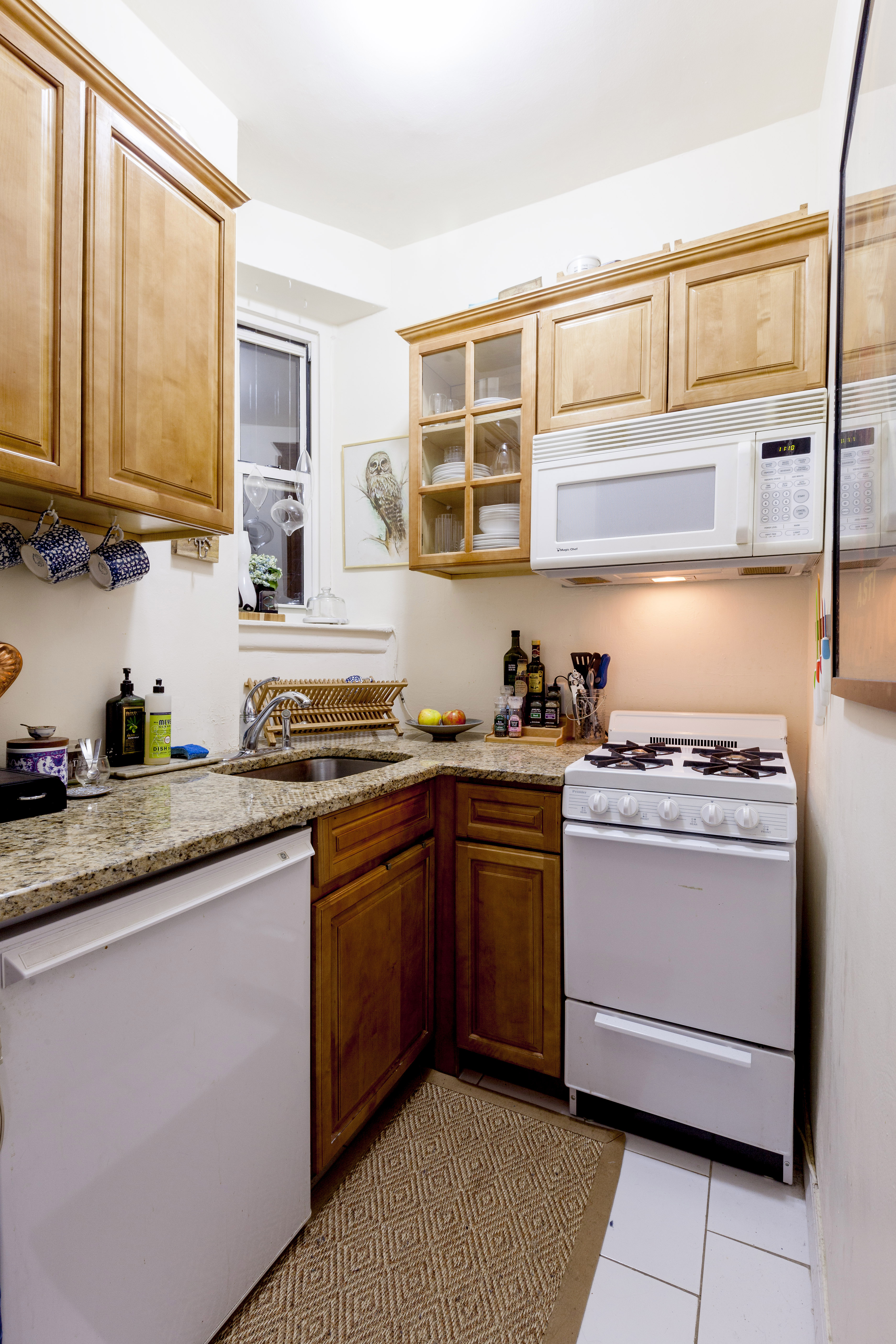 519 East 81st Street, Unit A Manhattan, NY 10028 - Photo 3 of 4