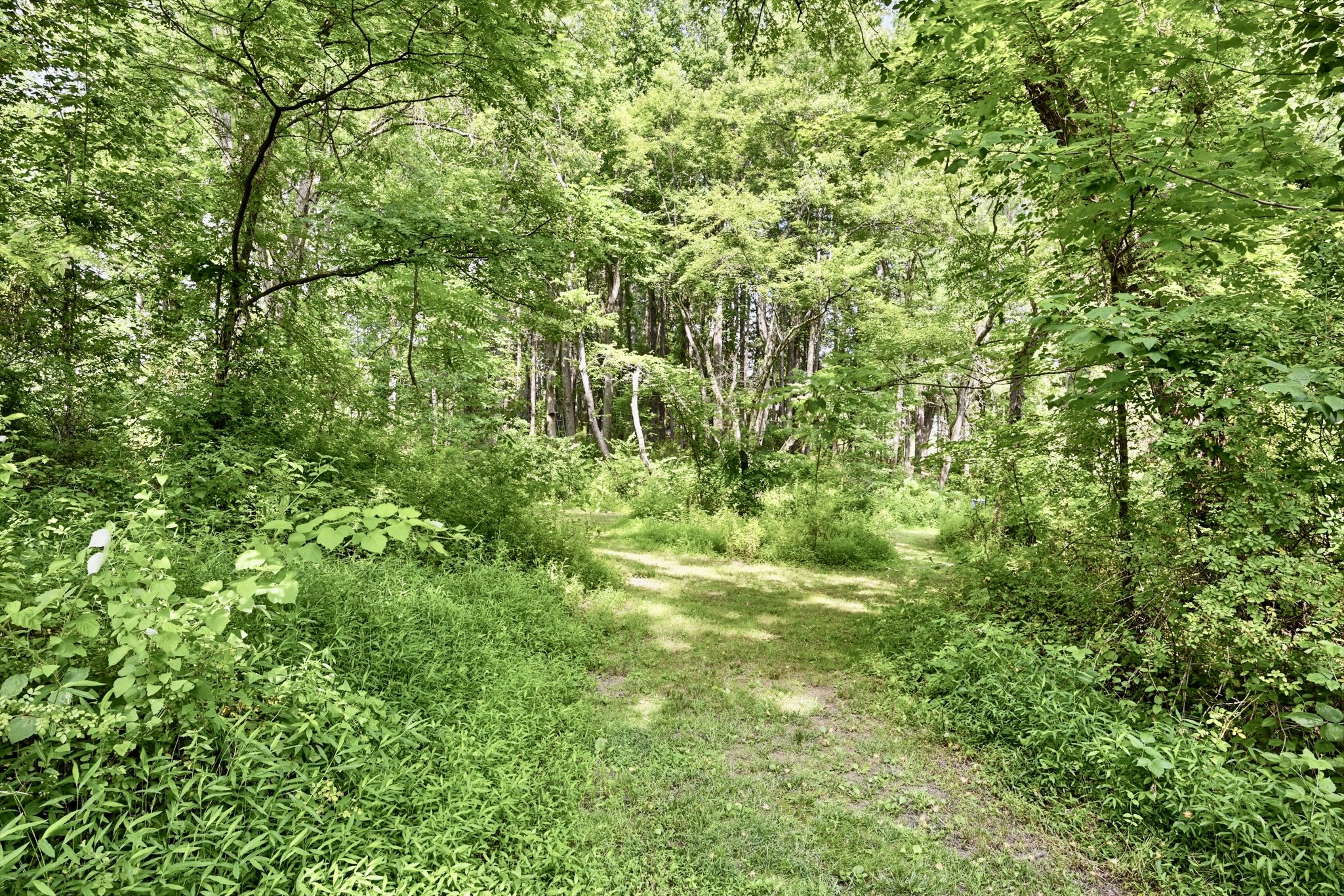 14280 Triadelphia Mill Road Dayton, MD 21036 - Photo 13 of 40