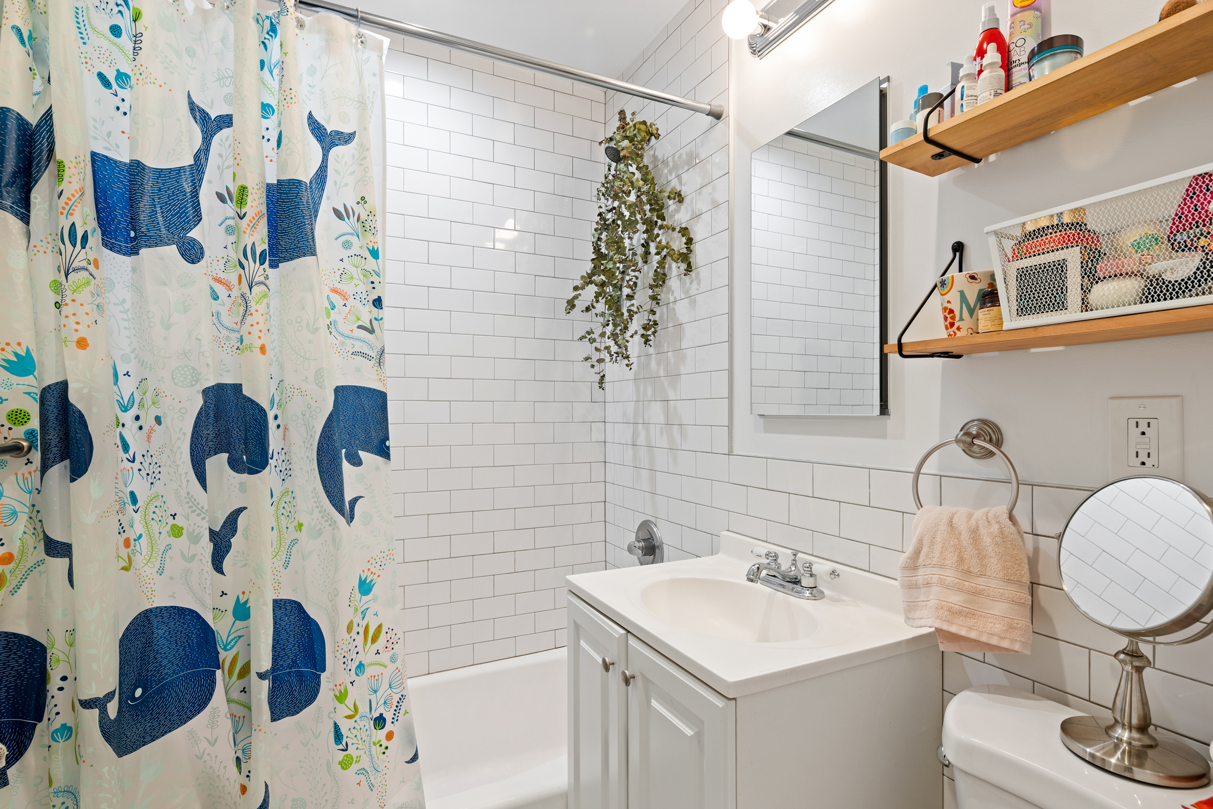 219 St James Place Brooklyn, NY 11238 - Photo 20 of 24