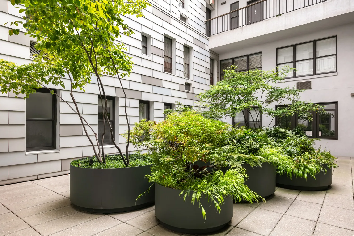 a view of a garden with potted plants