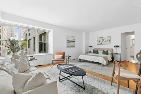 a living room with furniture and a potted plant