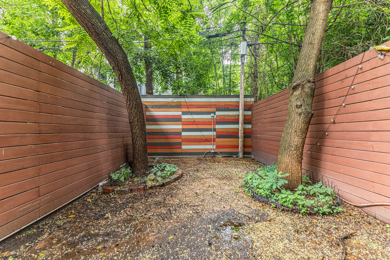 a view of a backyard with plants and a large tree