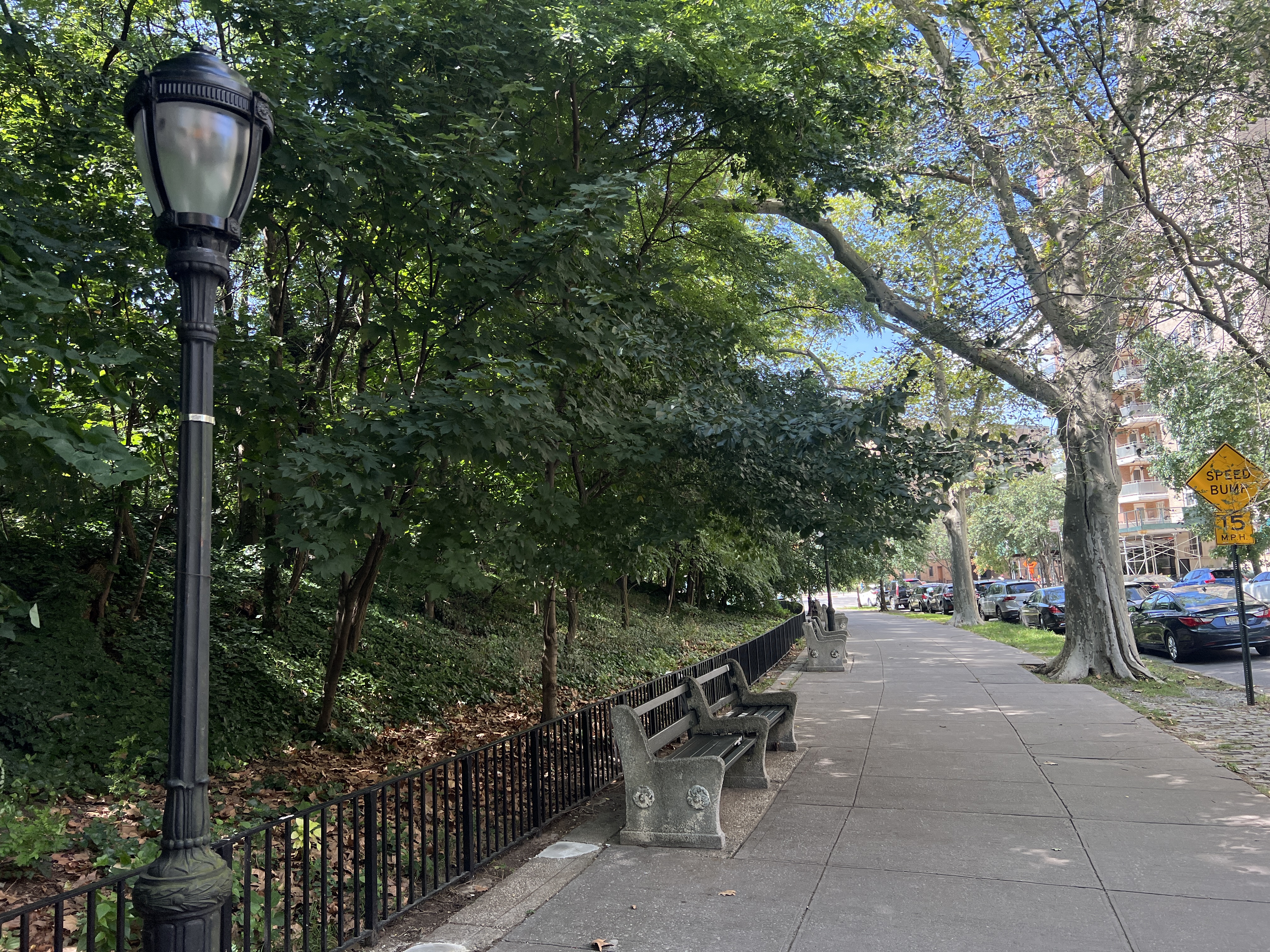 60 Plaza Street East, Unit 1G Brooklyn, NY 11238 - Photo 9 of 13 a view of outdoor space deck and tree