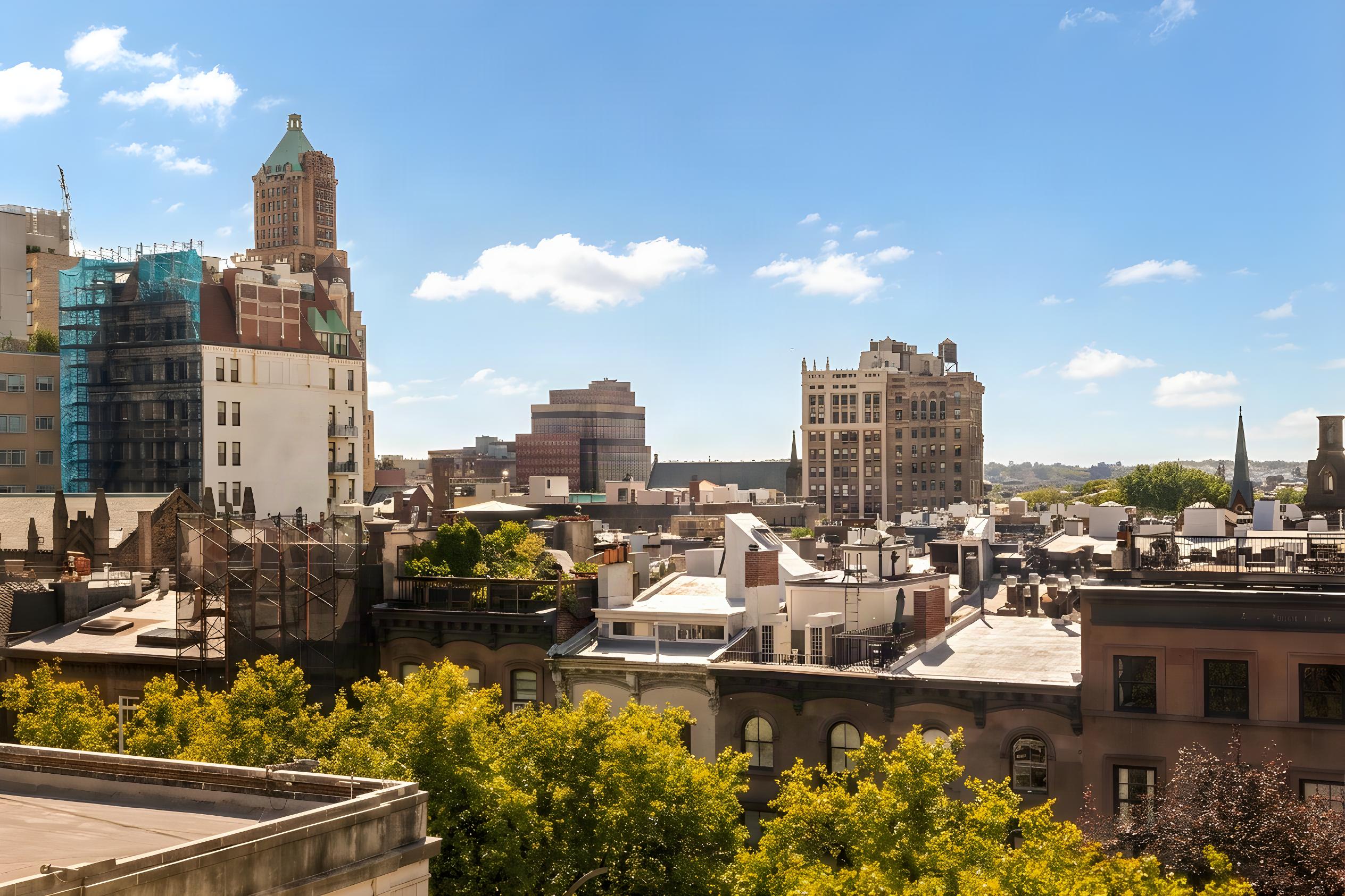 161 Henry Street, Unit 7A Brooklyn, NY 11201 - Photo 6 of 15 Gallery Image 6