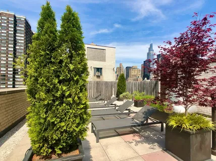 a view of a patio with table and chairs and potted plants