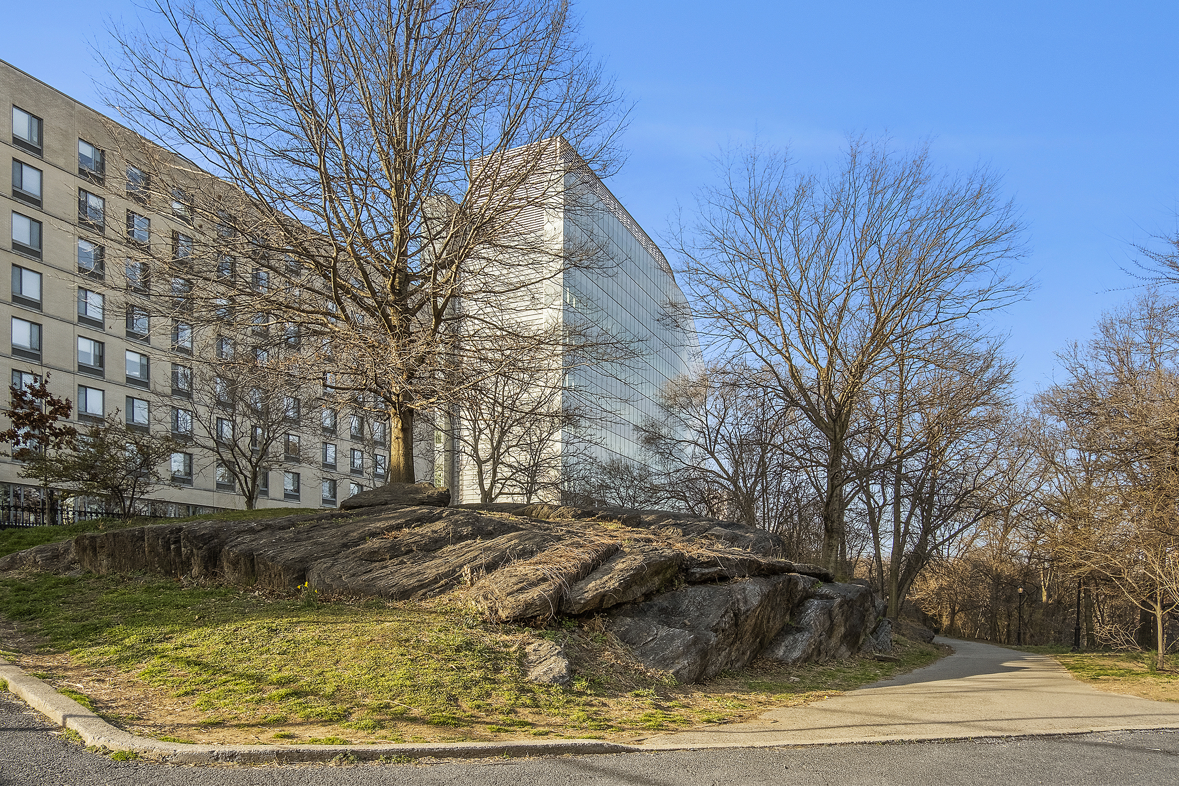 41 Convent Avenue, Unit 4L Manhattan, NY 10027 - Photo 11 of 13 a view of a backyard with white house