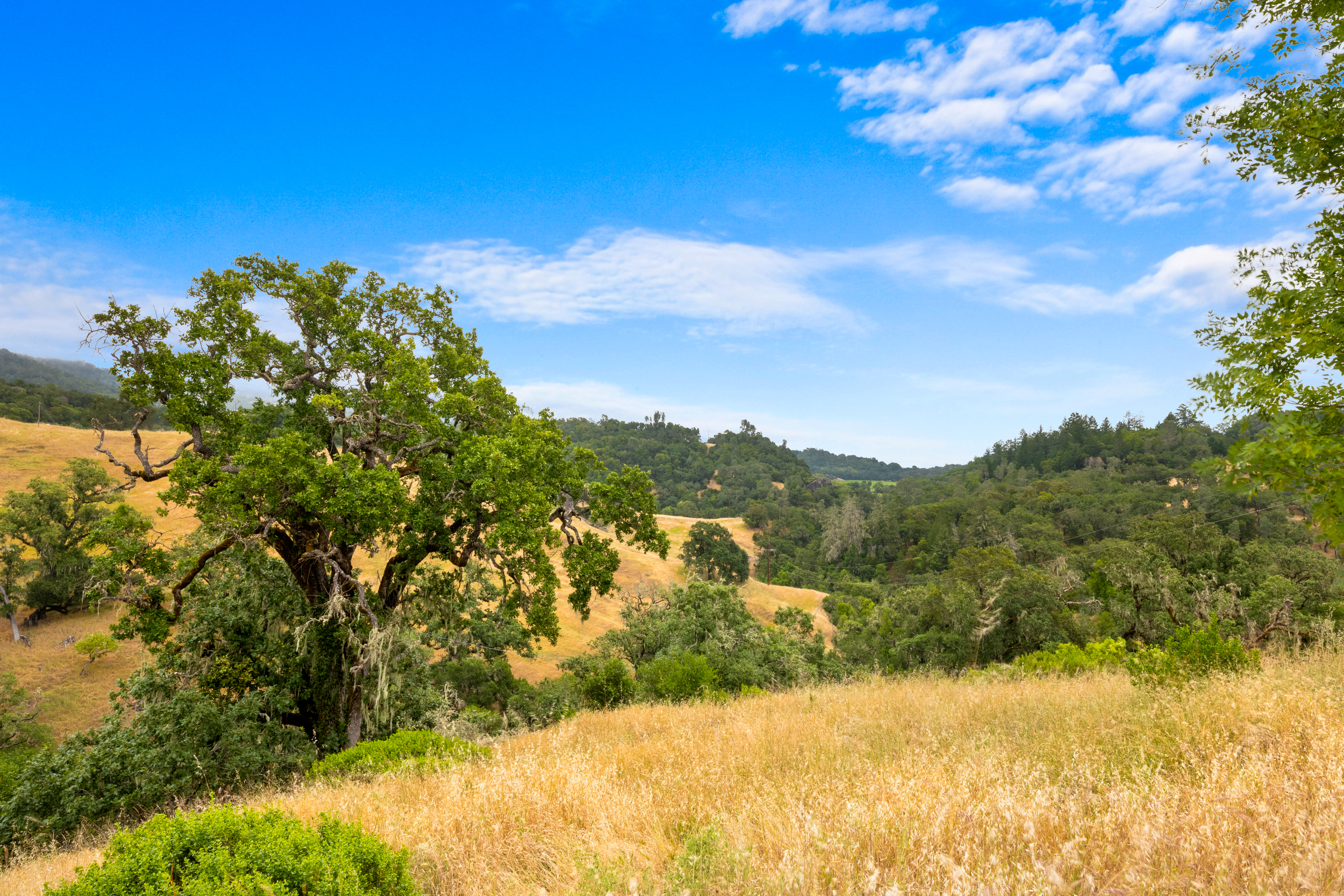 23655 Vineyard Road Geyserville, CA 95441 - Photo 4 of 25