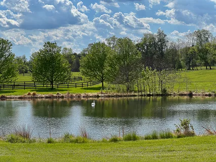 $1,100,000 | 13214 Greenstaff Lane, Lovettsville, VA 20180