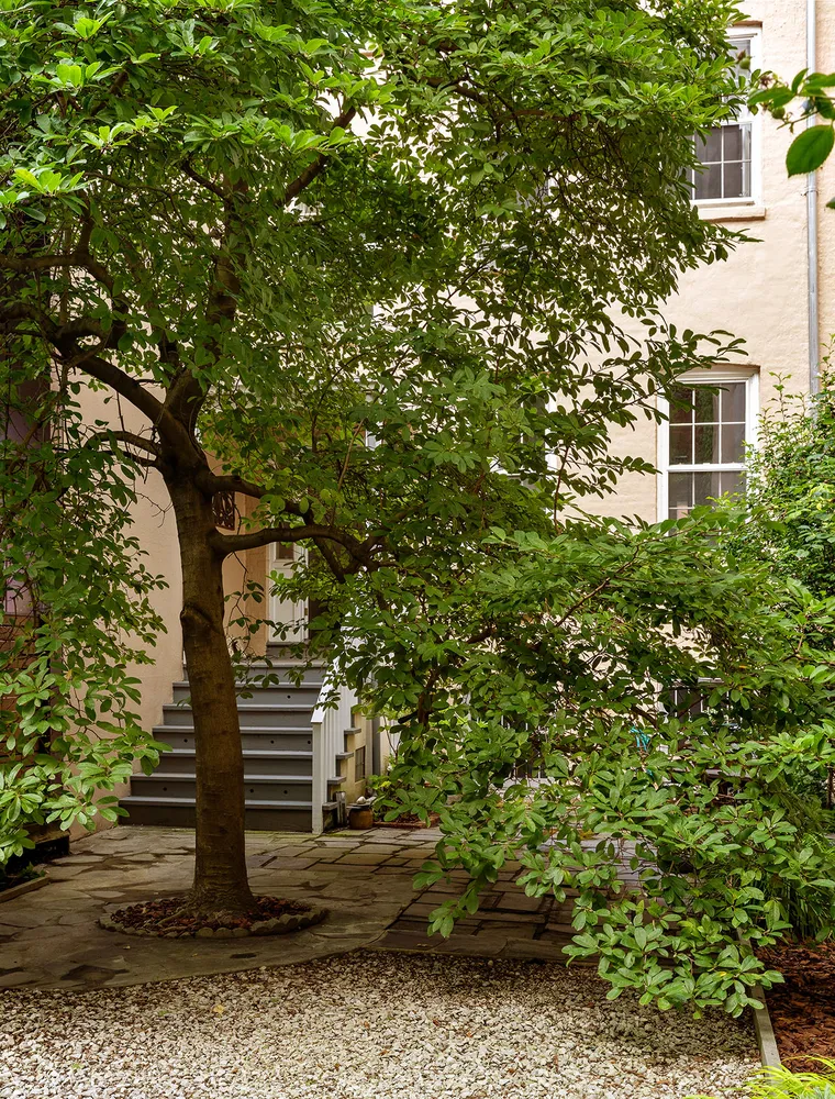 a view of outdoor space and yard