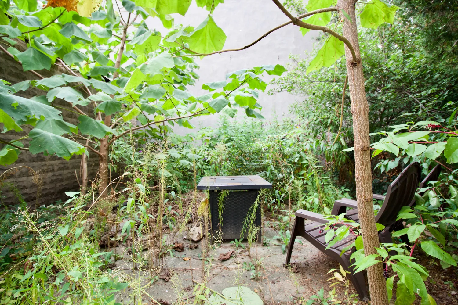 $3,800 | 403 Caton Avenue, Unit 1 | Windsor Terrace