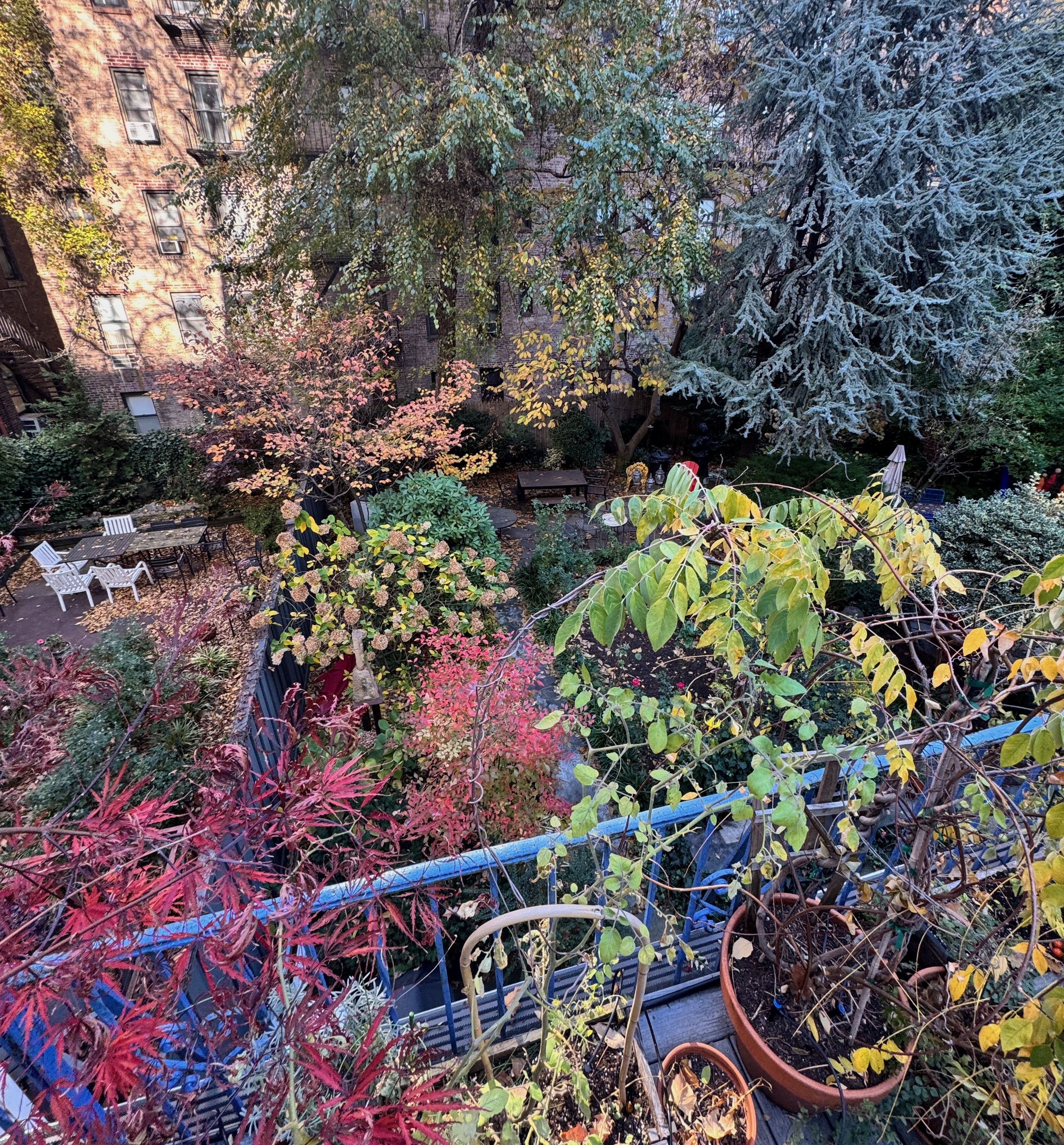 19 Vandam Street, Unit 2 Manhattan, NY 10014 - Photo 18 of 19 a city view with a lots of plants and flowers