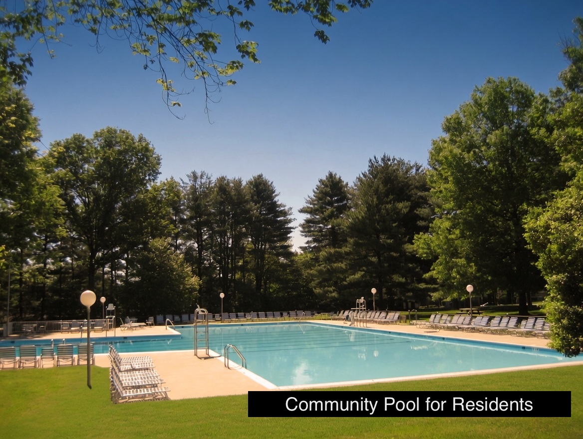 14005 Bethpage Lane Silver Spring, MD 20906 - Photo 3 of 5